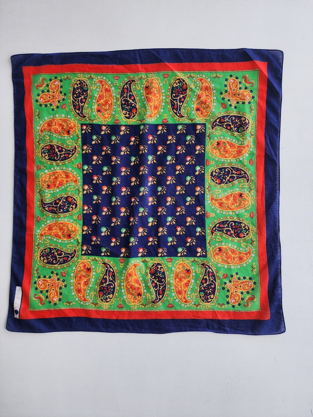 Violet Moom Paisley Print Women’s Scarf - Multicolor